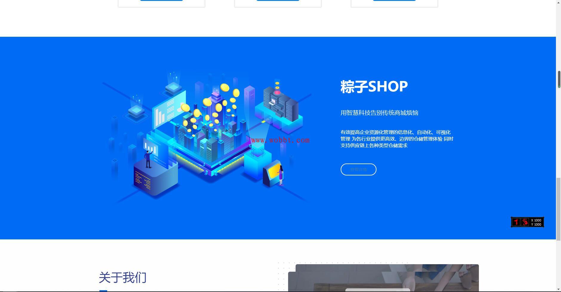 最新粽子实物商城纯净官网展示源码 无后台-D42资源网
