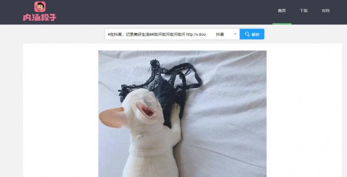 短视频无水印解析源码半开源分享-D42资源网