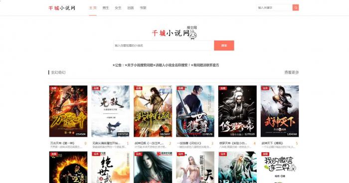 《娴娴小说》自动采集小说网站源码-D42资源网
