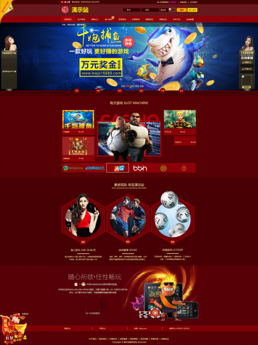 NG网站PHP程序+所有版本更新包+视频搭建教程-D42资源网
