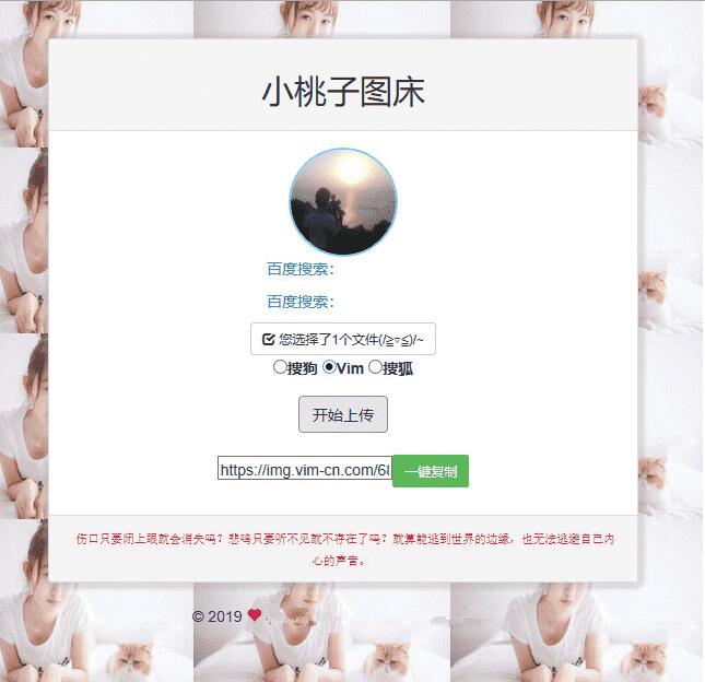 聚合图床程序源码 支持搜狗搜狐Vim图-D42资源网