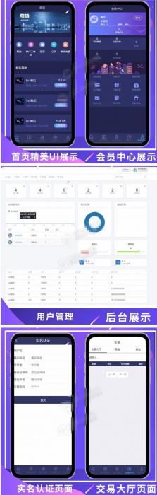 全新UI疯狂蚂蚁区块链矿池重置版网站源码 全开源可二开-D42资源网