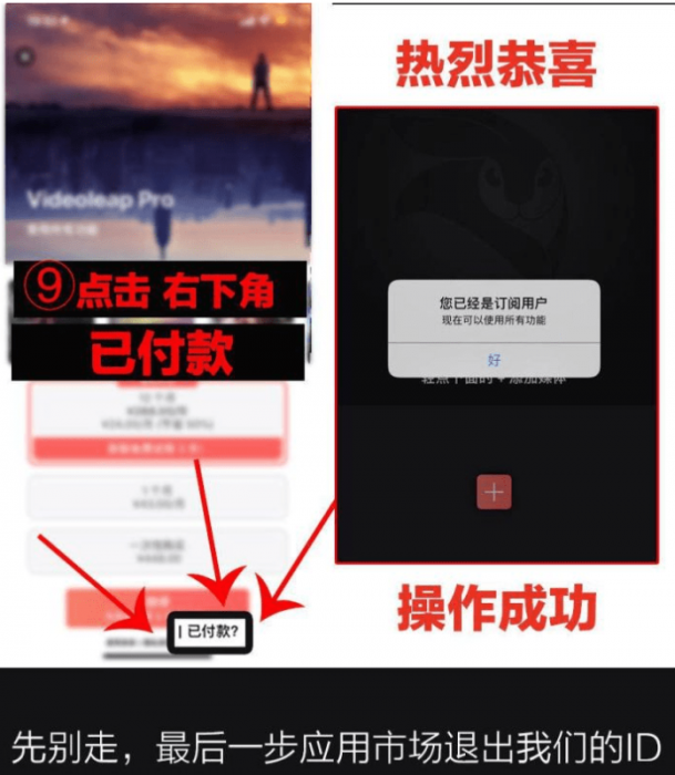 抖音超火视频剪辑软件，Videoleap某宝买的分享给大家-第2张图片-D42资源网