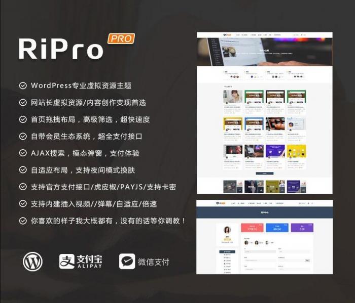 RIPro主题 v7.2 免授权修复后门完美版-D42资源网