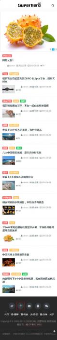 织梦响应式个人博客资讯网站模板(自适应手机移动端)-第2张图片-D42资源网
