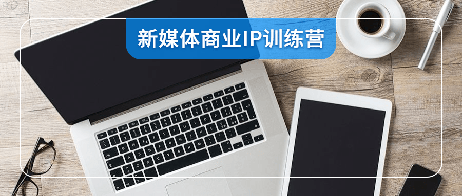 新媒体商业IP训练营视频-D42资源网