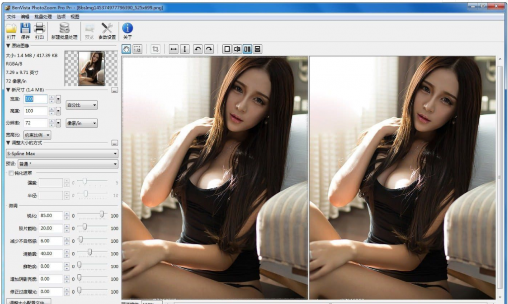 PhotoZoom破解专业版-图像无损放大工具-D42资源网