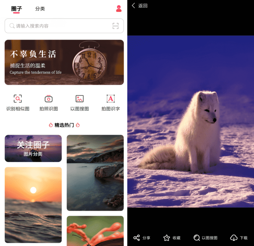 以图搜图v1.0.0纯净版-D42资源网