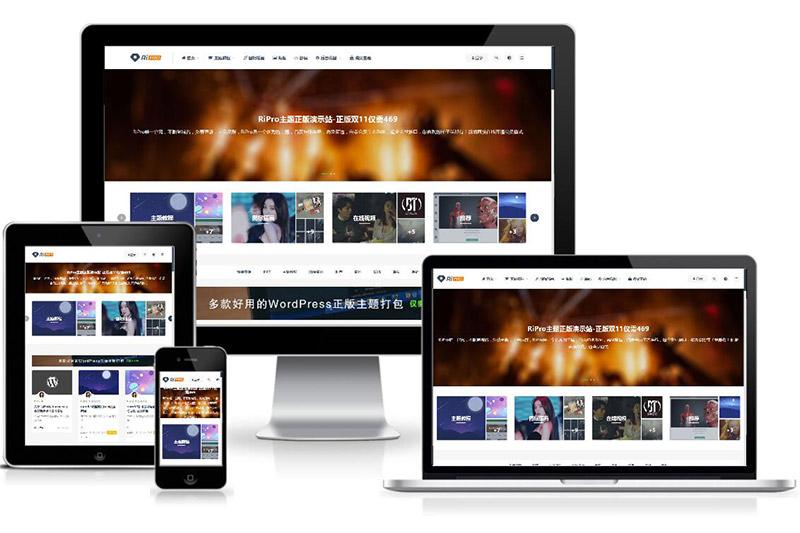 WordPress付费资源下载主题：ripro8.7最新破解版-D42资源网