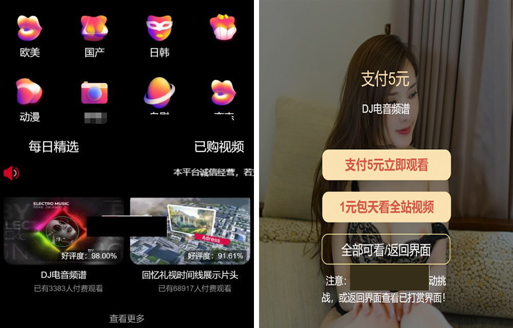 最新版付费视频打赏程序源码 多模板+全新UI 带包天+可扣量+代理 非云赏V系列-D42资源网