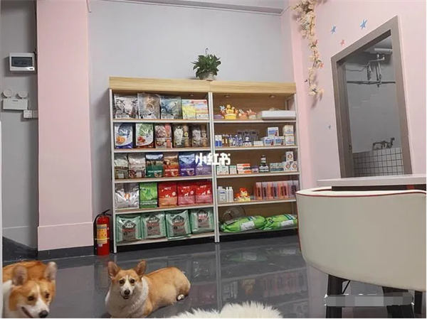 自动草稿 自动草稿