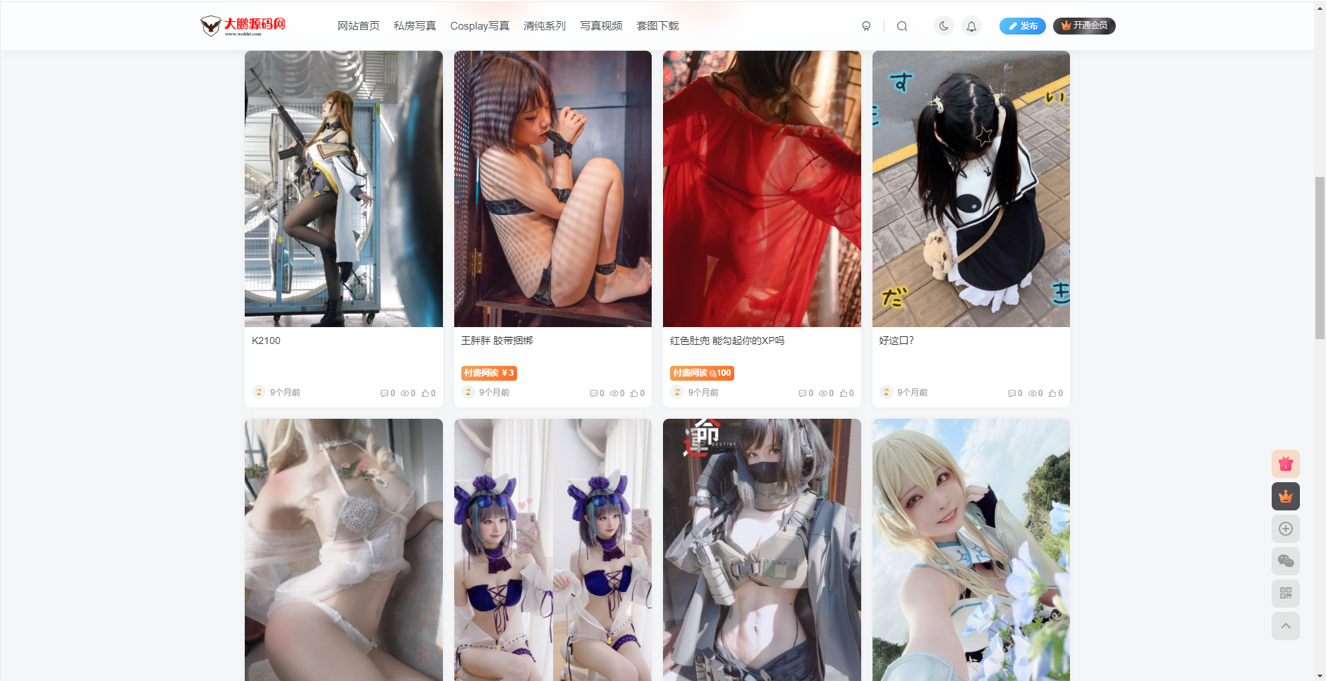 【大鹏独家】整站WordPress子比自适应美女写真网站美图整站带数据源码一生相随亲测插图1